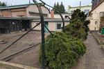 Einfamilienhaus Südliches Anhalt Pfaffendorf - 7 Zimmer, 116 m&sup2;, 118.500&euro; | Angebot:26095190