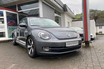 VW Beetle