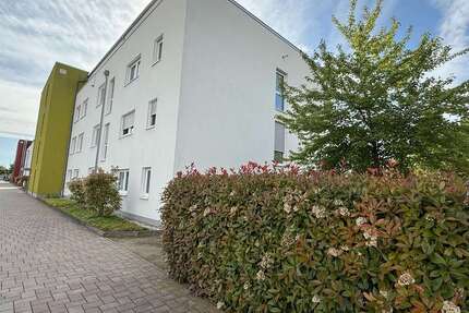 Wohnung Haßloch - 2.5 Zimmer, 67 m&sup2;, 750&euro; | Angebot:27313725