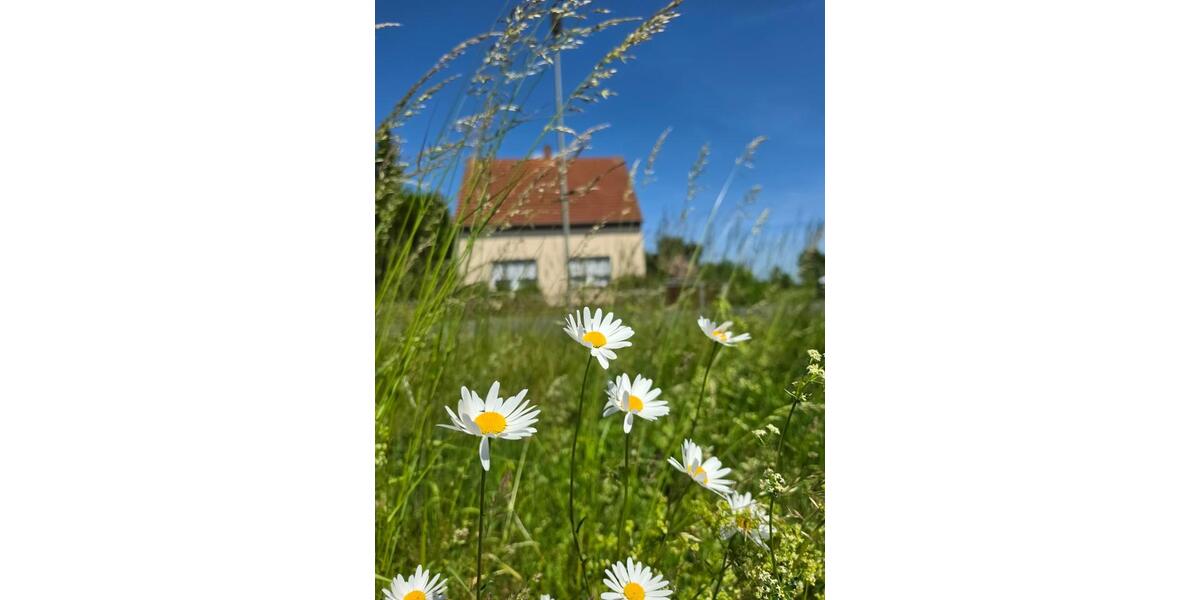 Einfamilienhaus Zahna-Elster Elster - 4 Zimmer, 100 m&sup2;, 195.000&euro; | Angebot:26888688