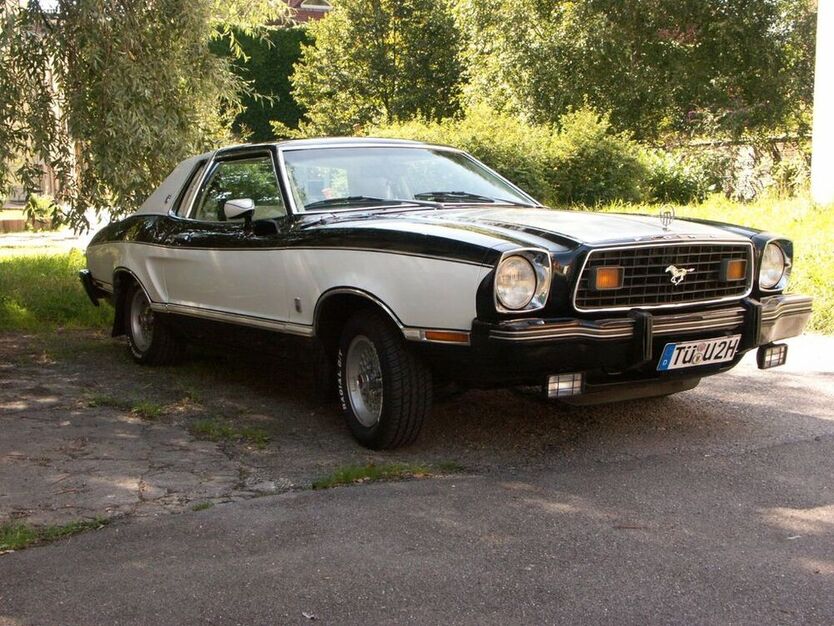 Mustang