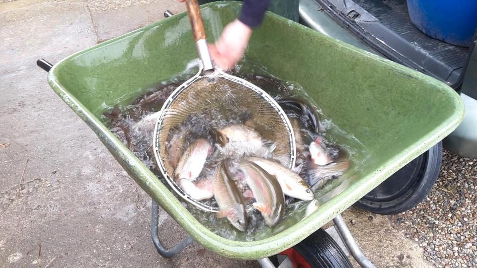 Ferienimmobilie Dortmund Gartenstadt - 75&euro; | Angebot:25990285