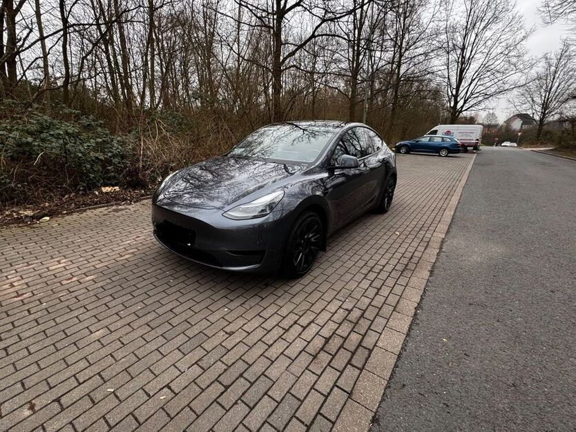 Model Y