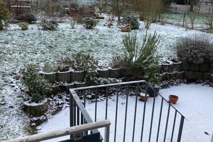 Wohnung in Trier Feyen ab 1.3 zu vermieten 5 zimmer