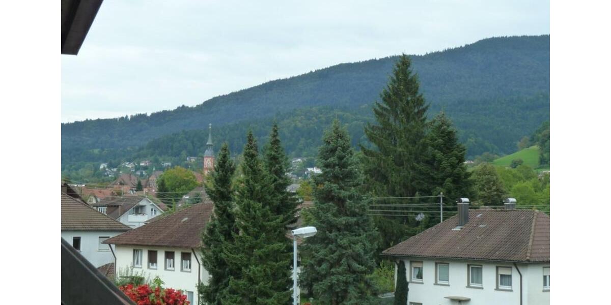 Etagenwohnung Waldkirch - 2 Zimmer, 60 m&sup2;, 750&euro; | Angebot:25321943