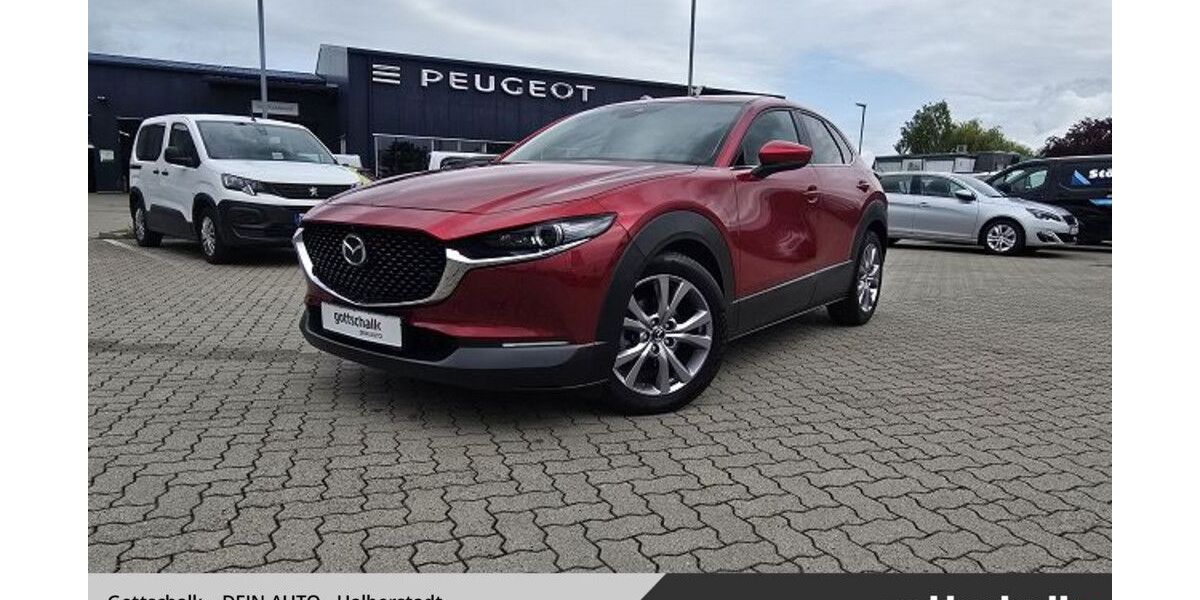 Mazda CX-30 46.535 km 19.890 &euro; Halberstadt 38820