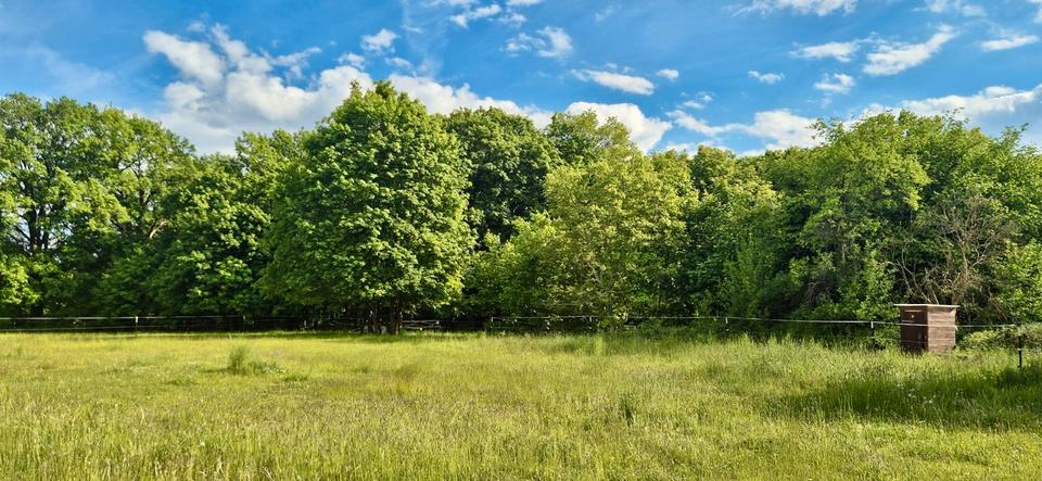 Bauernhaus, Landhaus Hoyerswerda - 6 Zimmer, 180 m&sup2;, 340.000&euro; | Angebot:26817428