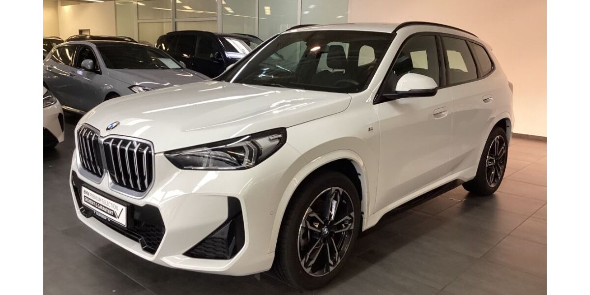 BMW X1 25.100 km 40.890 &euro; Pleisweiler-Oberhofen 76889