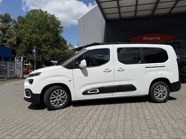Berlingo