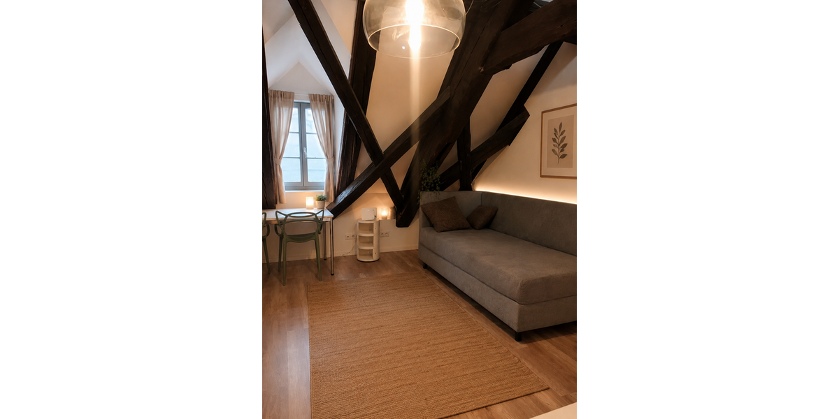 Etagenwohnung Erlangen Burgberg - 1 Zimmer, 20 m&sup2;, 650&euro; | Angebot:26837944