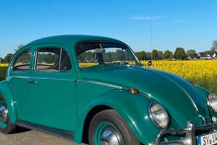 VW Käfer 88.050 km 21.500 &euro; Barnstorf 49406