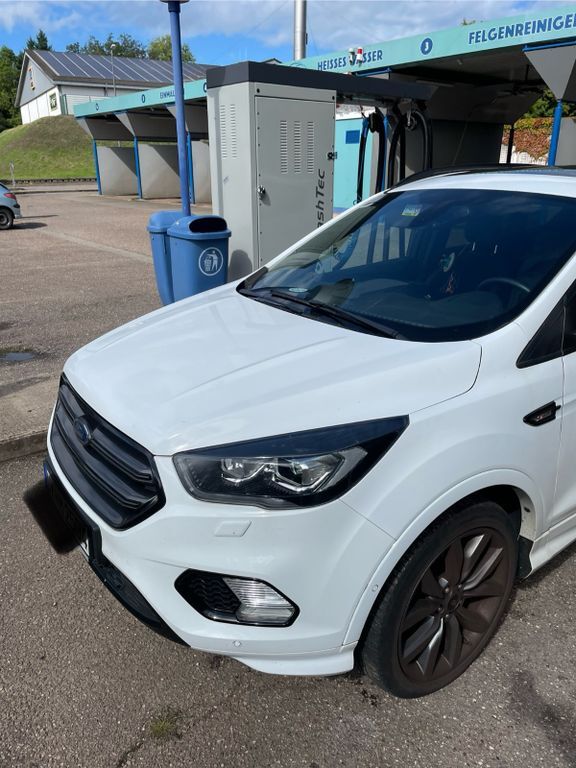 Kuga