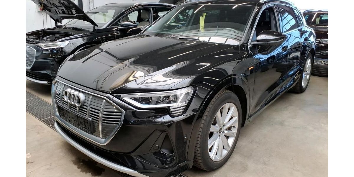 Audi e-tron 82.776 km 31.990 &euro; Hamburg 22047