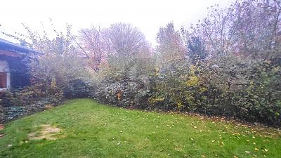 SELTENE GRÜNE OASE IN BESTLAGE zimmer