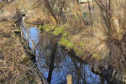 Grundstück Biesenthal - 98.000&euro; | Angebot:25391496