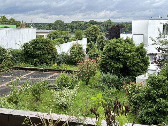 Top of Rodenkirchen: Weitblick in zentraler Ruhiglage 1 zimmer