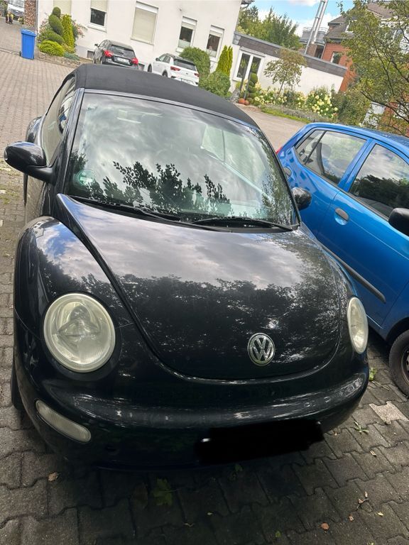 Beetle