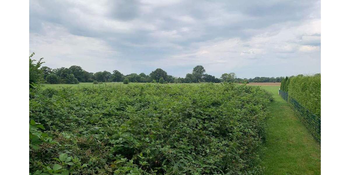 Grundstück Kaltenkirchen - 70.000&euro; | Angebot:25661219