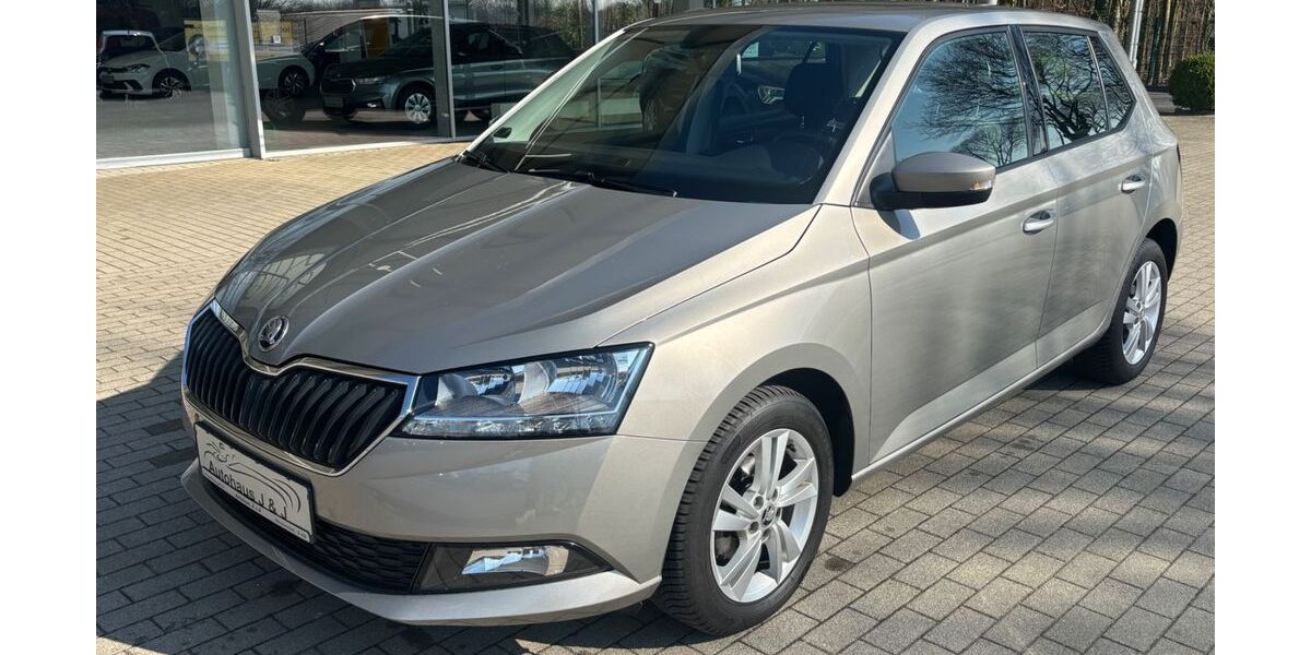 Skoda Fabia 95.000 km 10.990 &euro; Hohenwestedt 24594