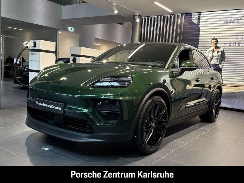 Macan