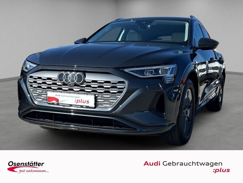 Audi Q8 21.890 km 64.320 € Traunstein 83278