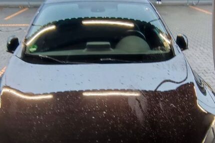 Renault Megane 215.000 km 7.750 &euro; Mühltal 64367