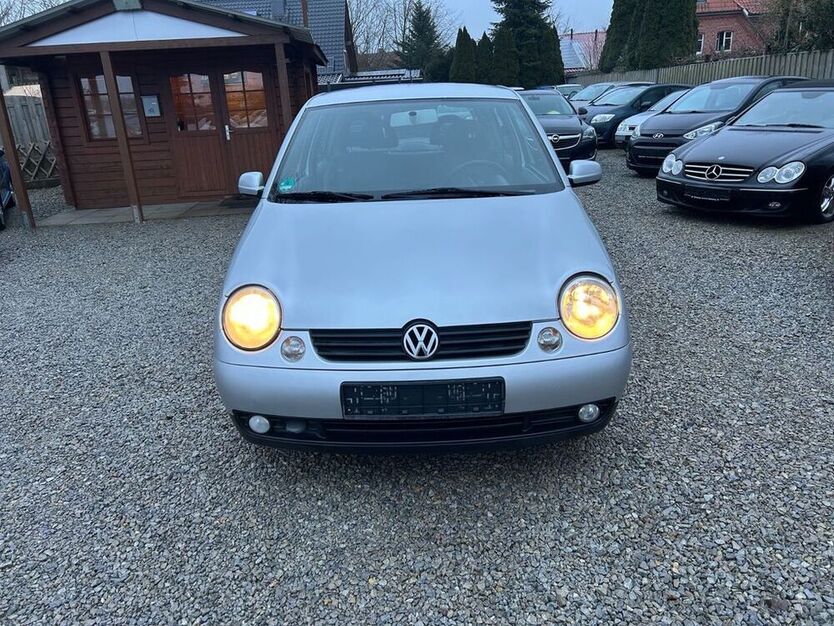 Lupo