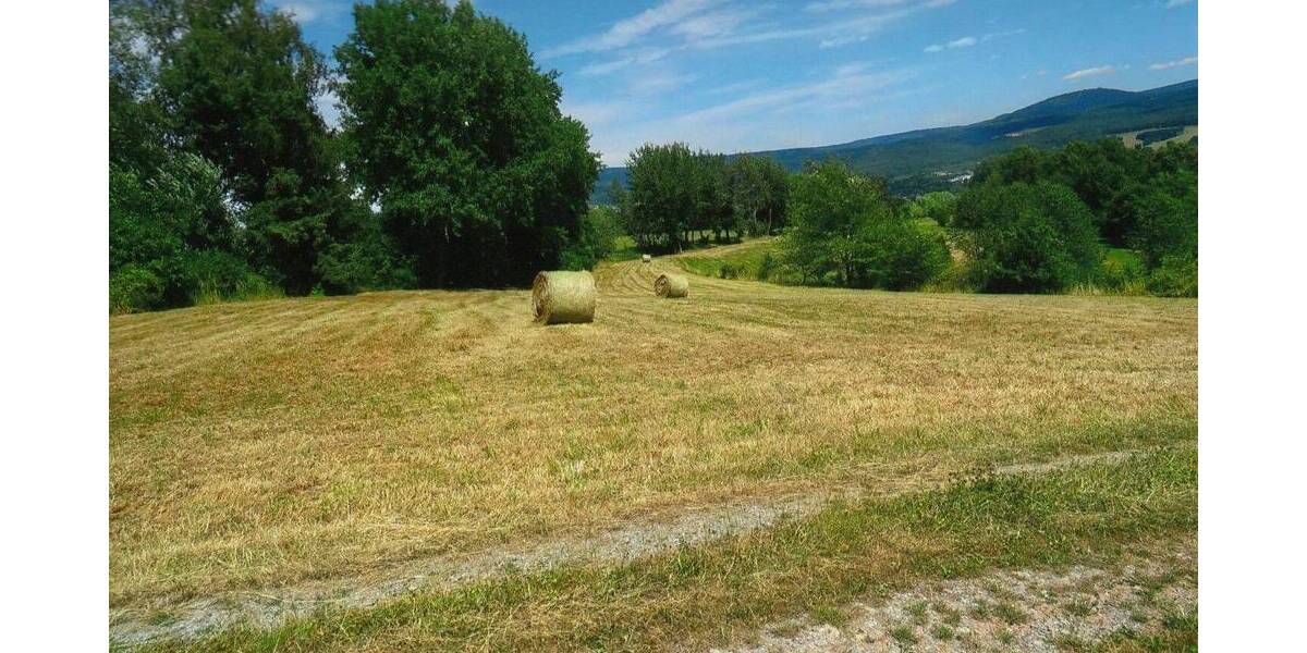 Grundstück Viernau Viernau - 19.000&euro; | Angebot:25727688