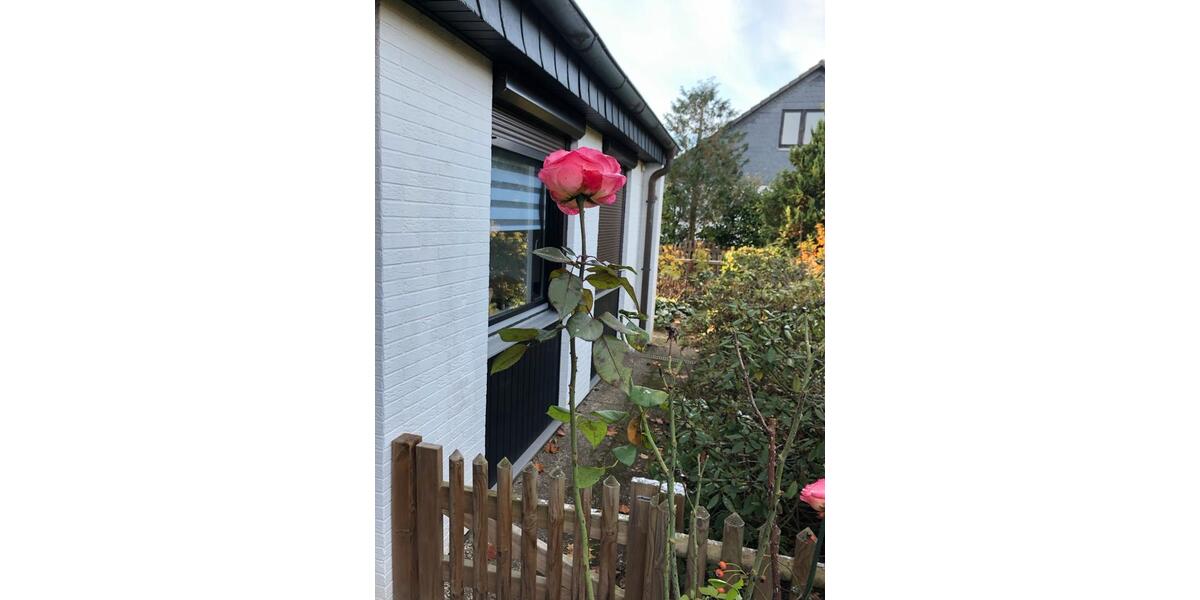 Schönes Einfamilienhaus in Isernhagen-Gartenstadt Lohne 6 zimmer