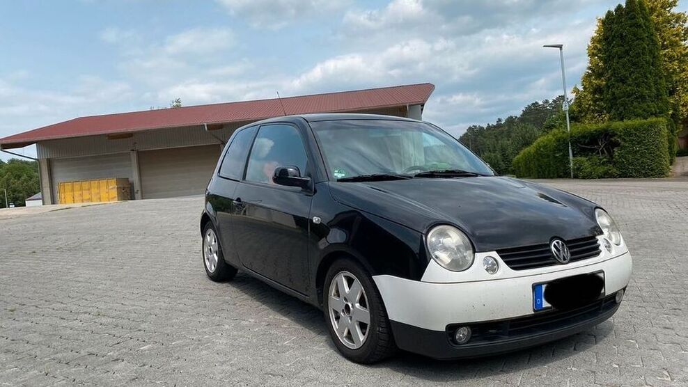 Lupo