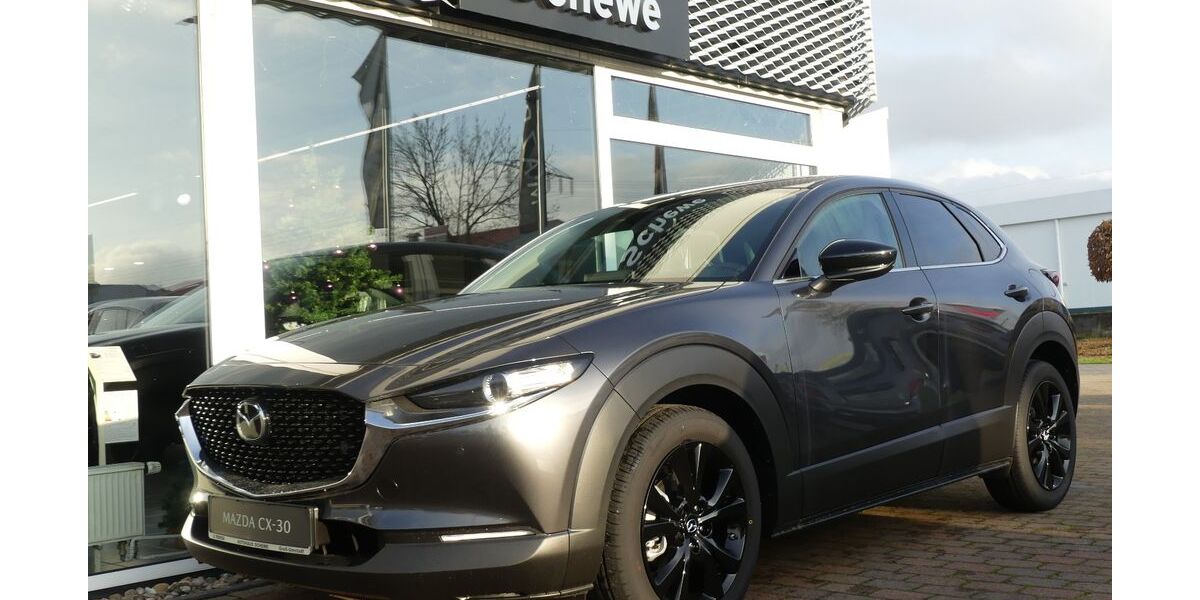 Mazda CX-30 1.900 km 28.290 &euro; Groß-Umstadt 64823