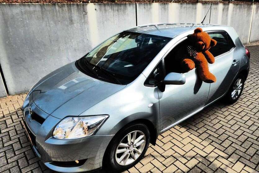 Auris