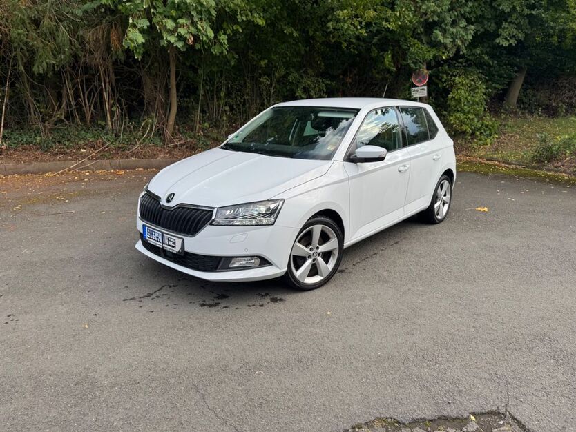 Skoda Fabia 42.750 km 13.000 € Mittenaar 35756
