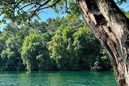 Haus Feldberger Seenlandschaft Feldberg - 3 Zimmer, 90 m&sup2;, 335.000&euro; | Angebot:25158037