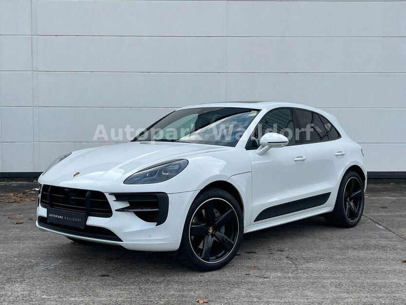 Macan