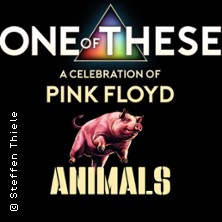 One Of These – A celebration of Pink Floyd / Animals Tour 20.03.2026 Stadttheater Idar-Oberstein