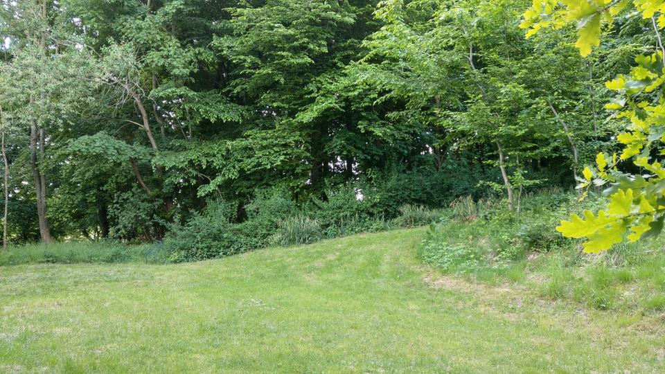 Grundstück Eching - 400&euro; | Angebot:26377517