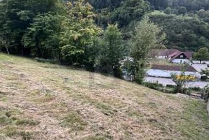 SCHÖNE AUSSICHTEN FÜR EIN GEMEINSAMES ZUHAUSE - Grundstück Weisenbach | Angebot:25412631