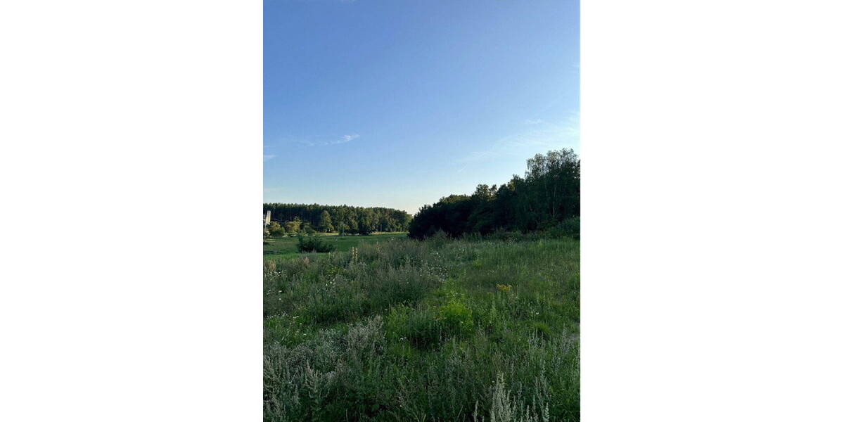 Grundstück Rheinsberg (Flecken/Zechlin) Dorf Zechlin - 209.000&euro; | Angebot:26695142