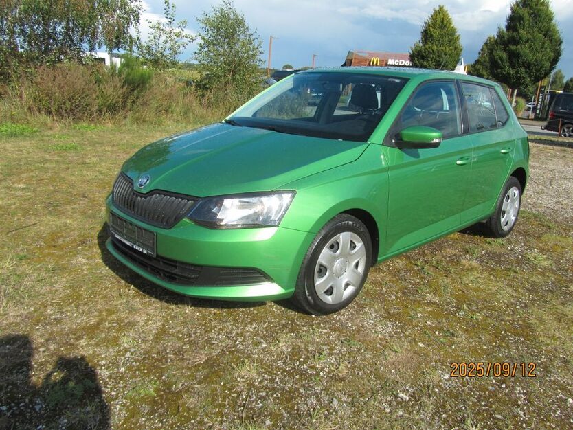 Skoda Fabia 162.587 km 5.999 € Dätgen 24589