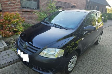 VW Fox