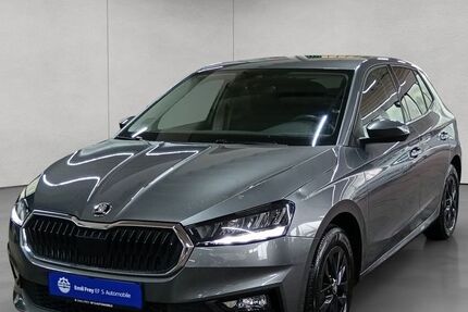 Skoda Fabia 24.893 km 19.490 &euro; Reutlingen 72762