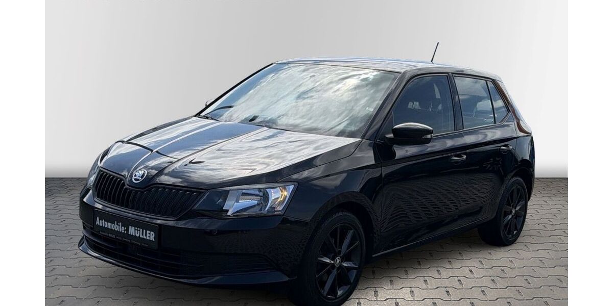 Skoda Fabia 99.655 km 8.900 &euro; Wurzen 04808