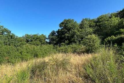 Grundstück Hahnenbach - 30.000&euro; | Angebot:21640954