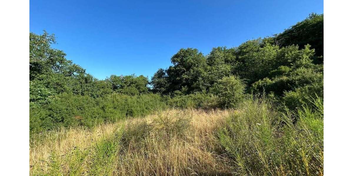 Grundstück Hahnenbach - 30.000&euro; | Angebot:21640954