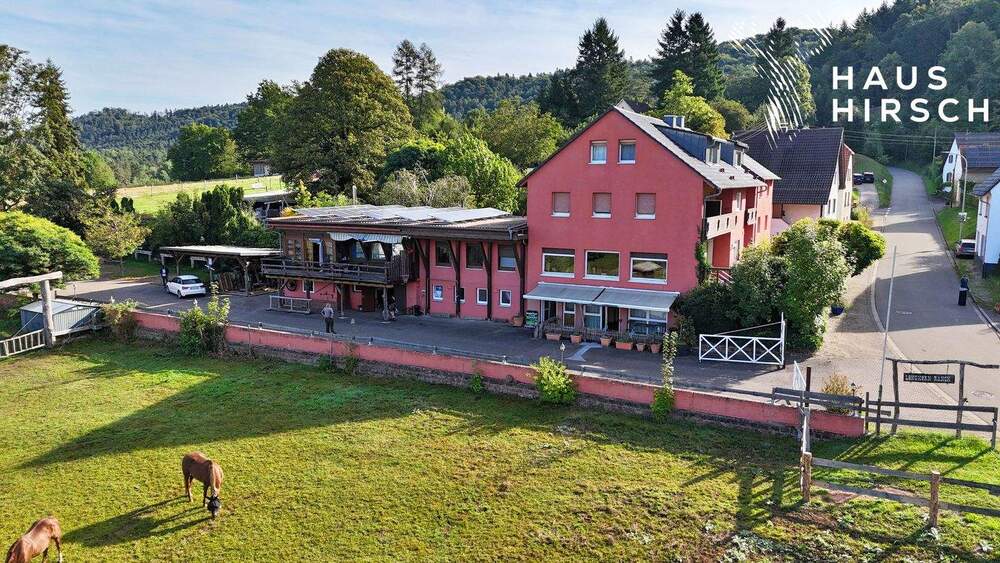 Gewerbeobjekt Schönau (Pfalz) Gebüg - 1 Zimmer, 549.000&euro; | Angebot:25650250