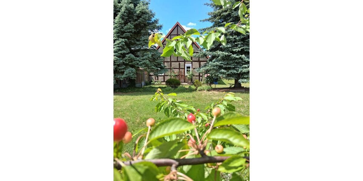 Einfamilienhaus Osterburg (Altmark) - 7 Zimmer, 120 m&sup2;, 230.000&euro; | Angebot:27249409