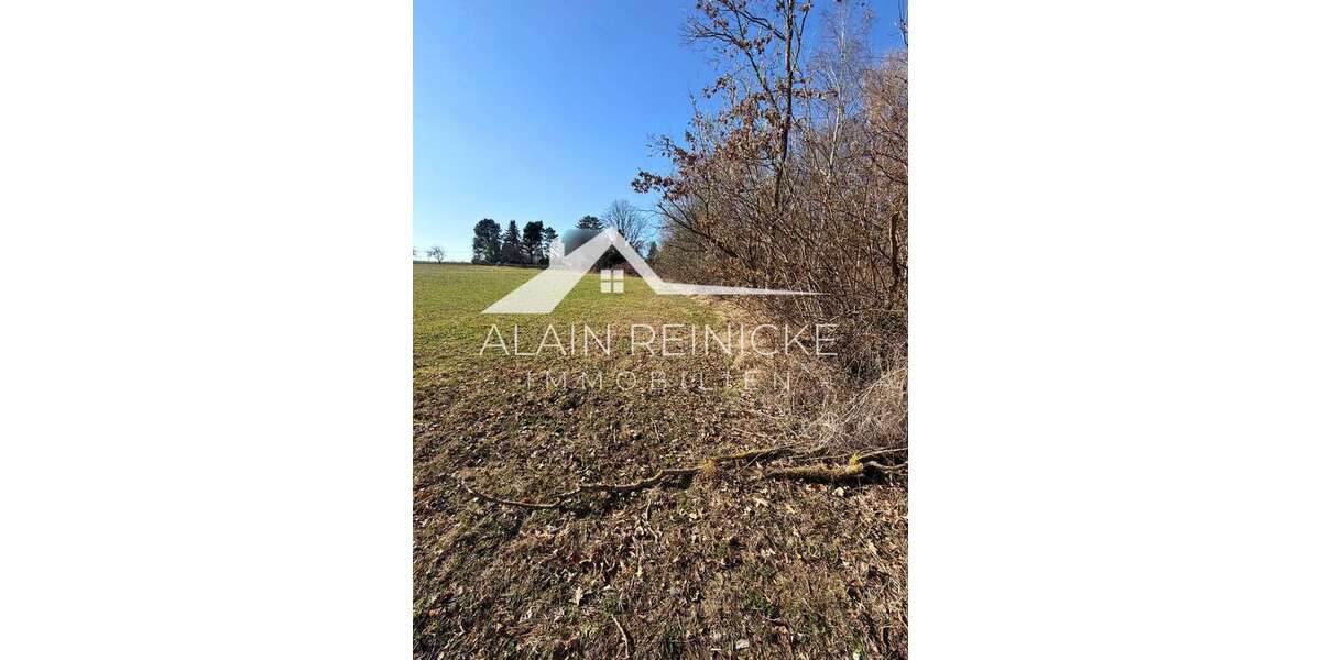 10 Grundstücke in Lichtenwalde - Grundstück Lichtenwalde Lichtenwalde | Angebot:25350214