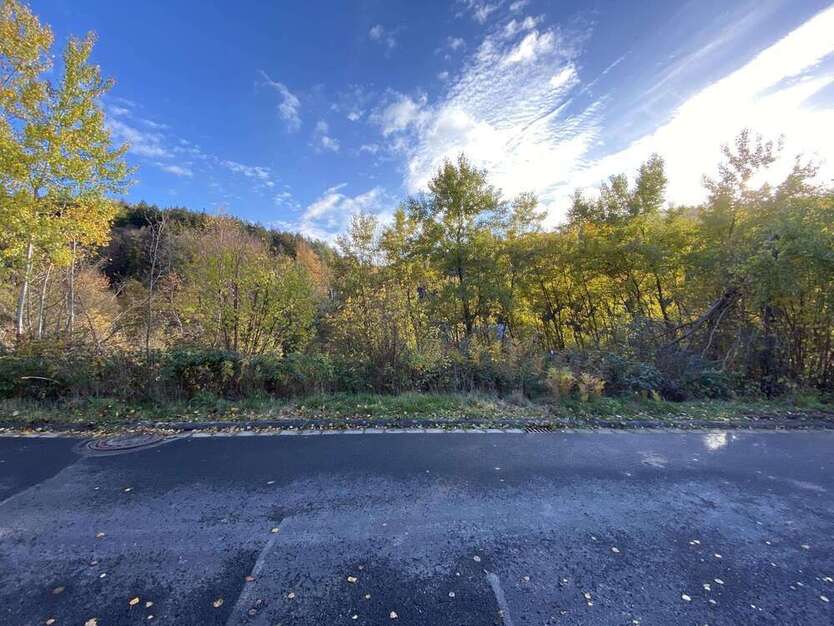 Grundstück zu verkaufen in Flörsbachtal 49.000 € 781 m²