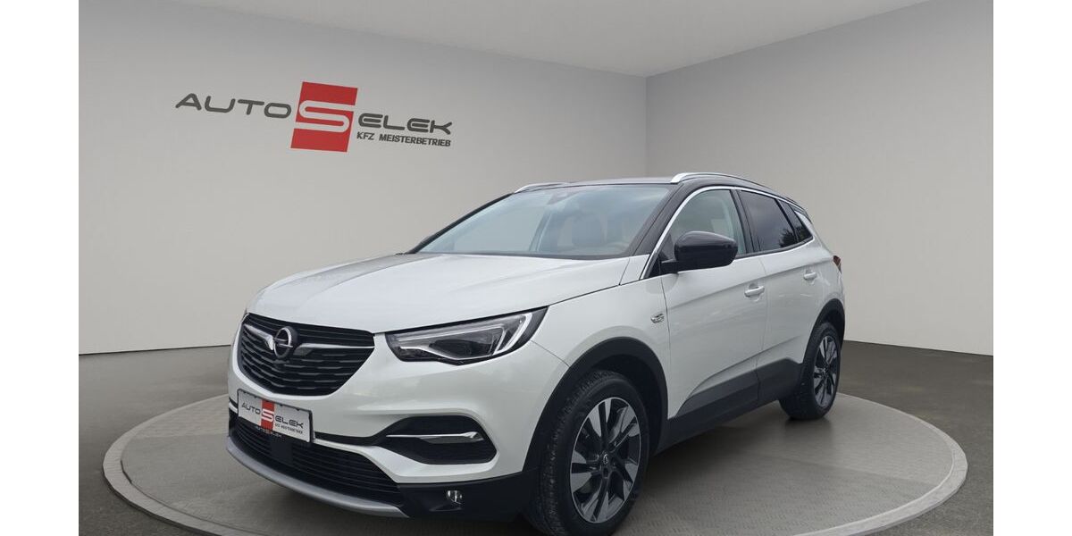 Opel Grandland (X) 121.306 km 18.950 &euro; Neustadt 96465